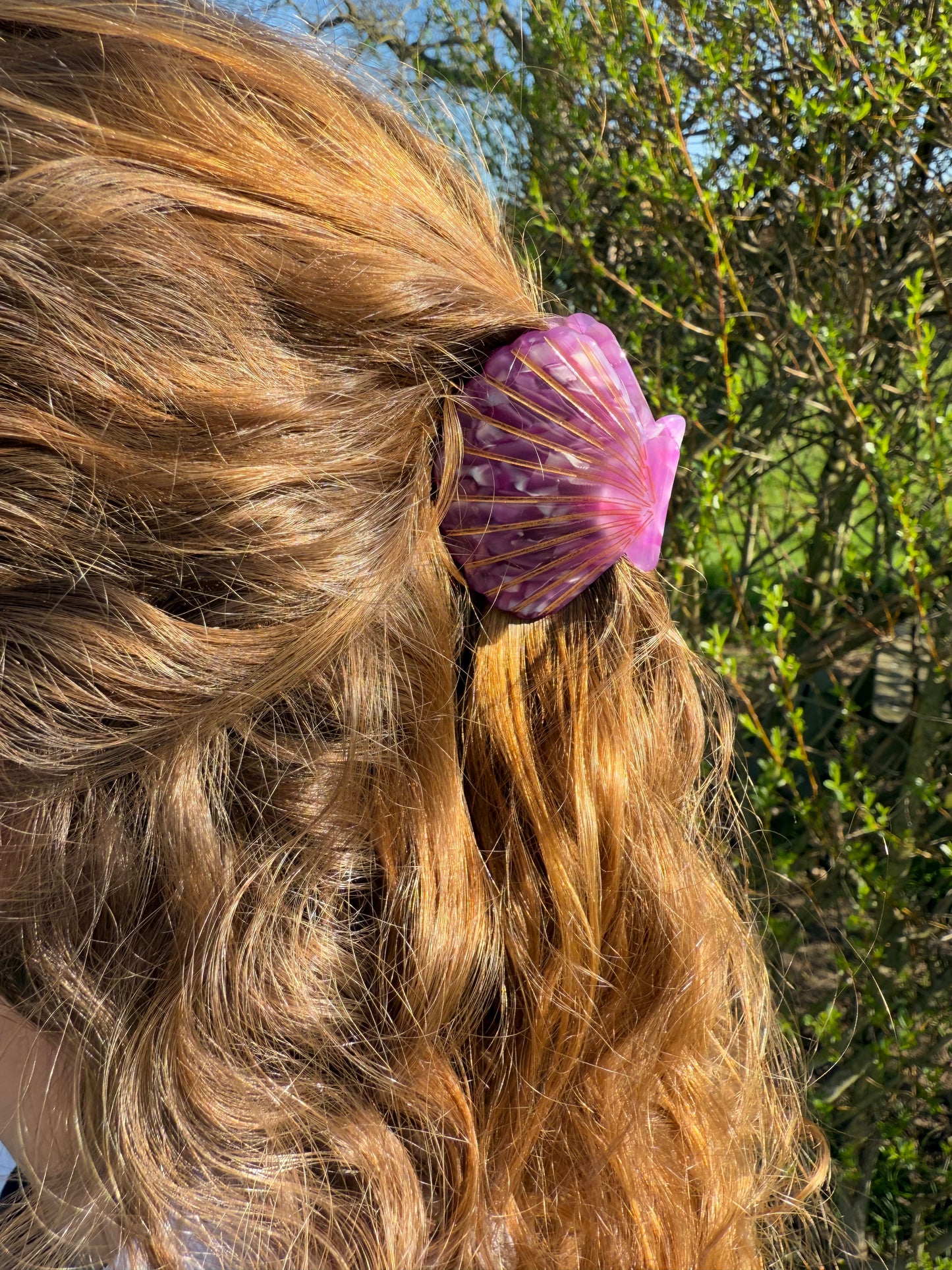 Hair clip shell